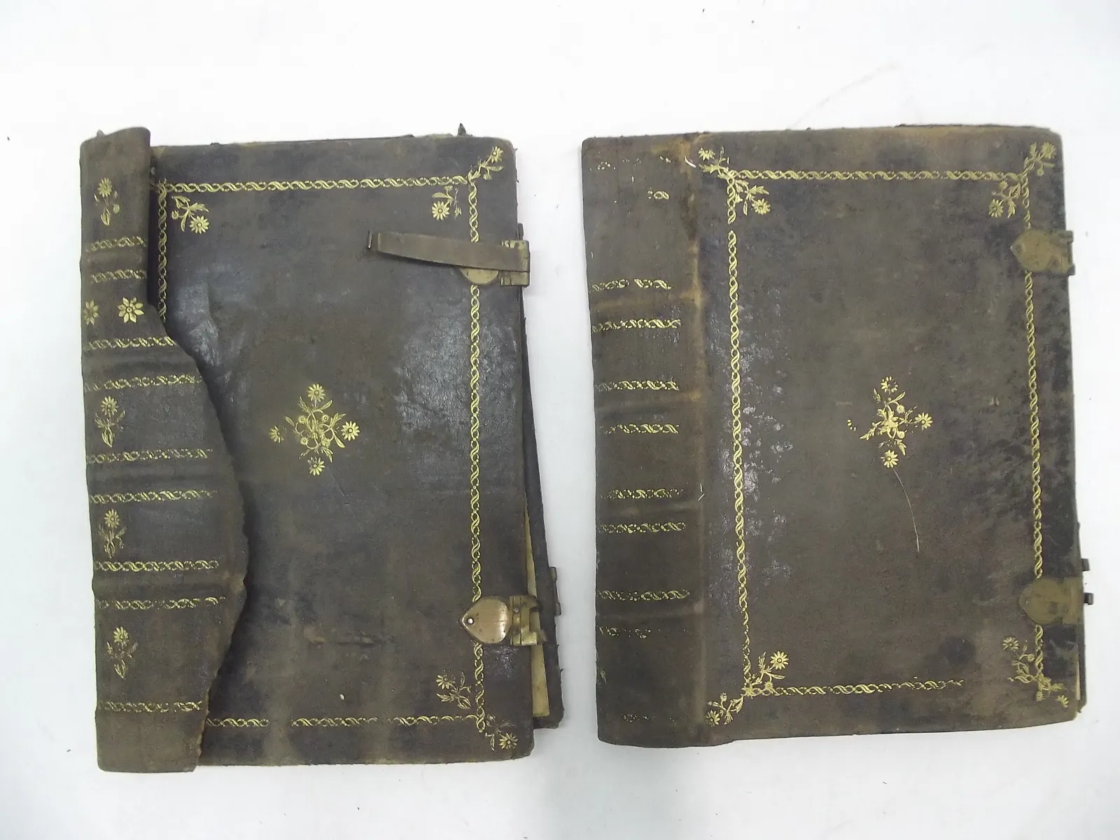 Pasta de encuadernación