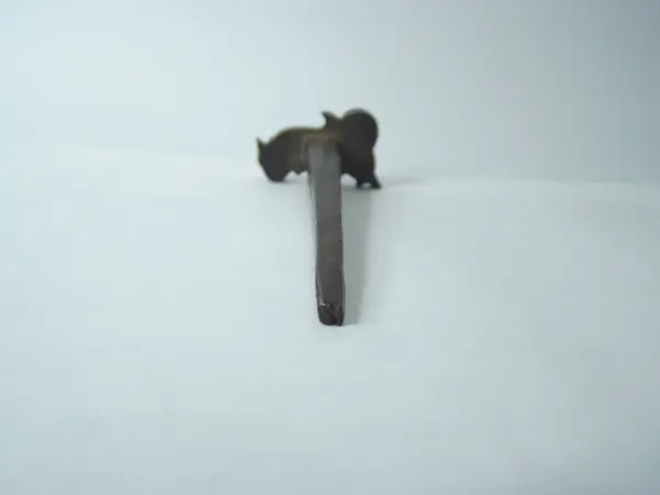 Instrumento para dorar