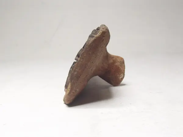 Sello de barro cocido