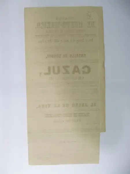 Impreso en papel