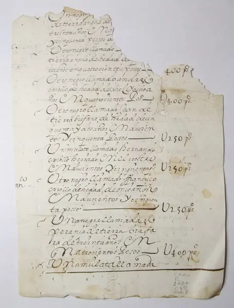 Manuscrito en papel