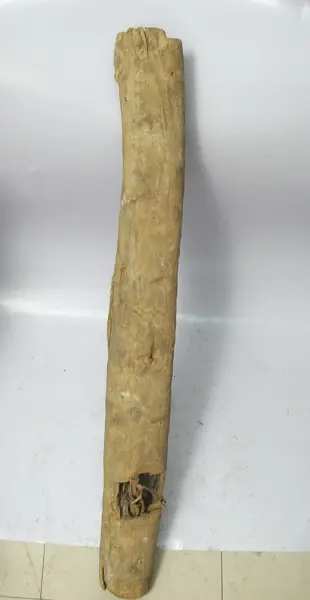 Corteza de árbol para fabricar papel amate